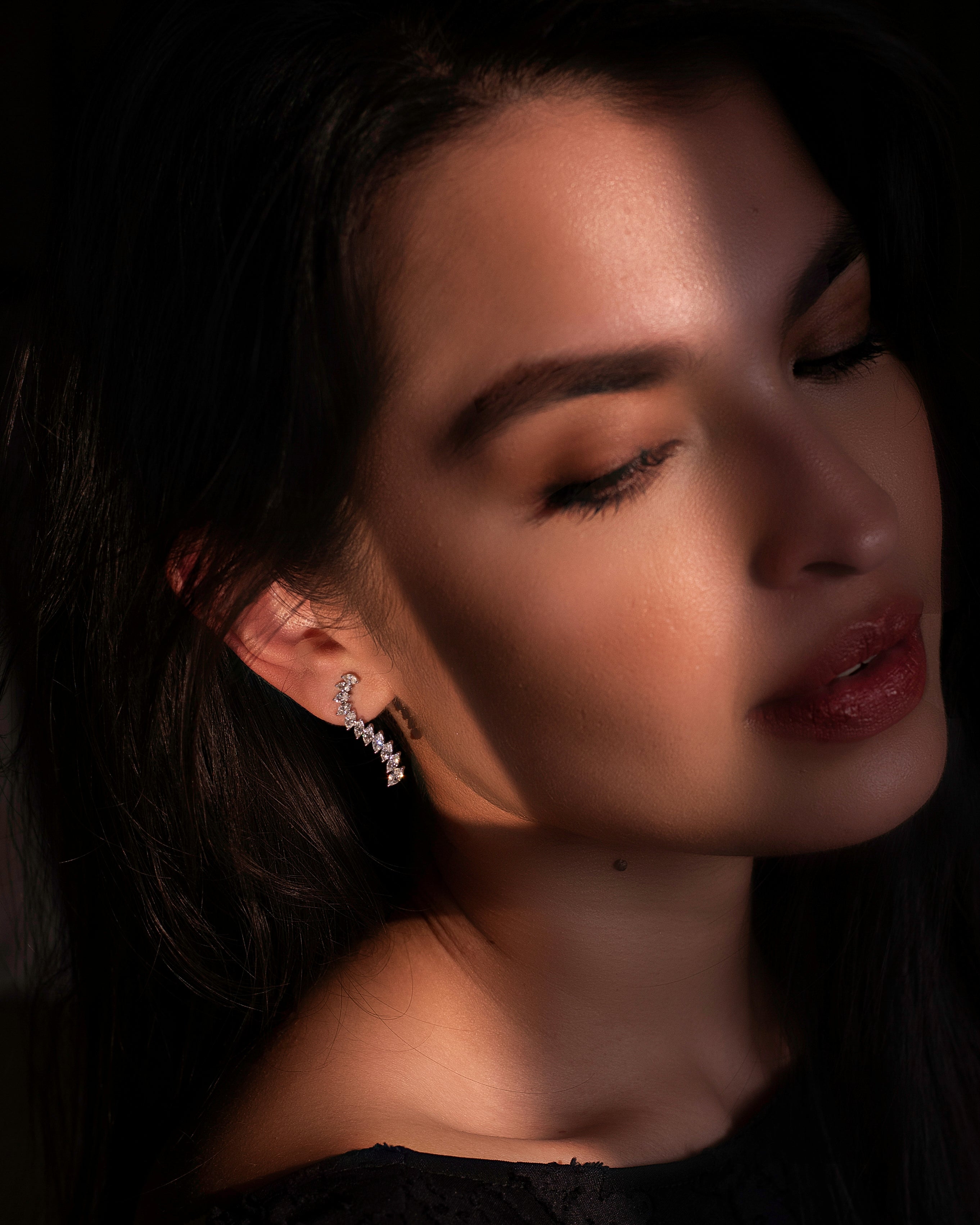 Luna Curve Earrings